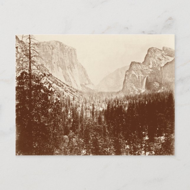 Vintage Yosemite National Park Postcard (Front)