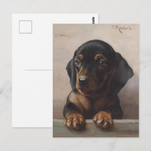 Vintage Young Dachshund Oil Painting Portrait Postcard