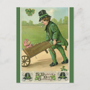 Vintage Young Man and Pig St Patricks Greeting Postcard