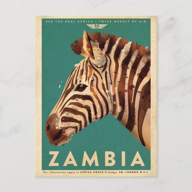 Vintage Zambia Zebra Travel Postcard (Front)