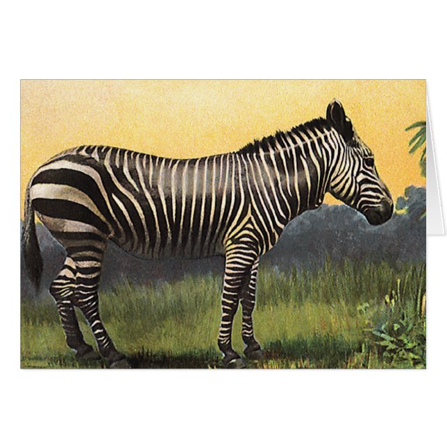 Vintage Zebra in the African Savannah, Wild Animal (Front Horizontal)