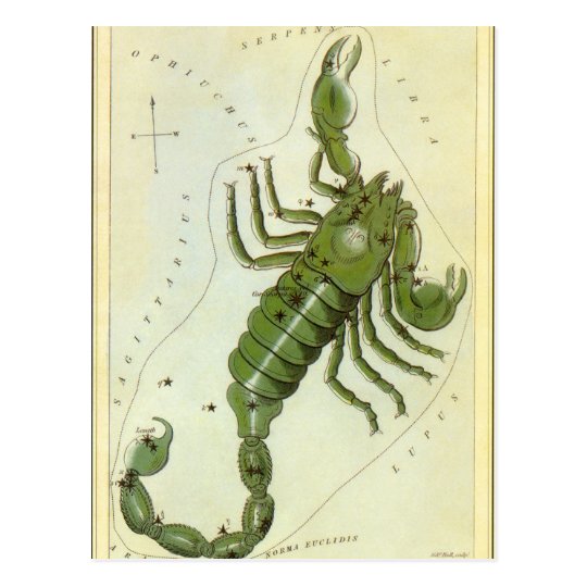Vintage Zodiac, Astrology Scorpio Constellation Postcard