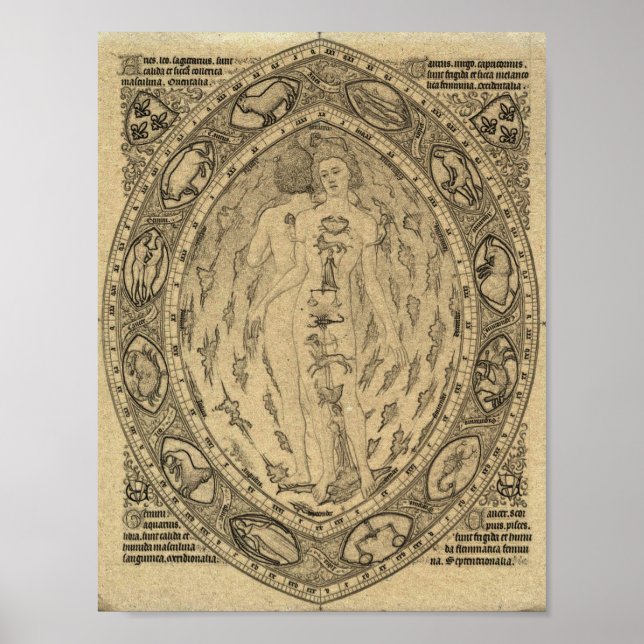 Vintage Zodiac Atrology Chart (Front)