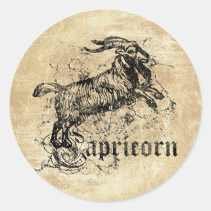 Vintage Zodiac Capricorn Classic Round Sticker