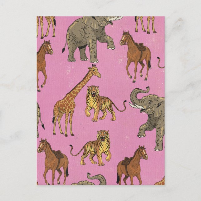 Vintage Zoo Animals Postcard (Front)