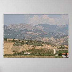 Vinyard, Abruzzi, Italy Poster