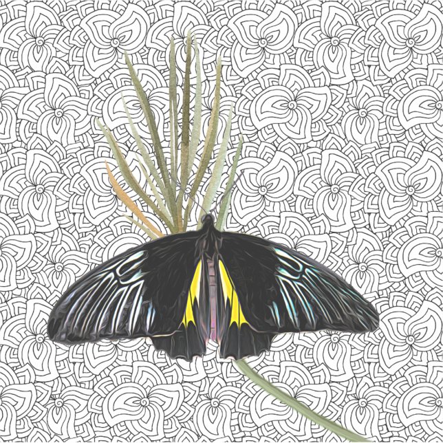 Vinyl Sticker with Butterfly & BW Background (Front)