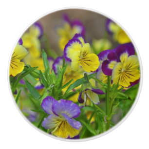 Viola Ceramic Knob