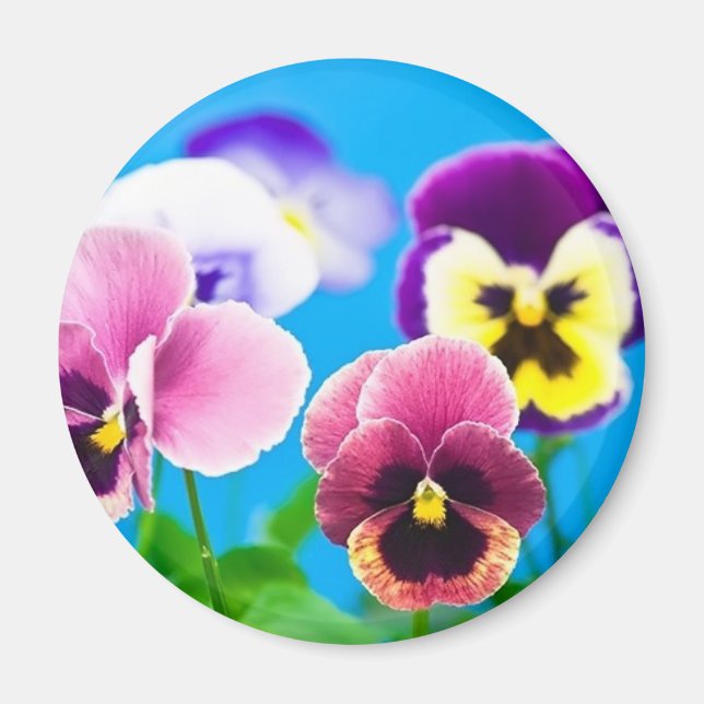 Viola flowers Magnet (Front)