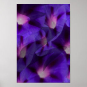 Viola Skys Poster