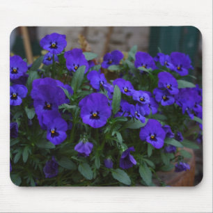 Viola wittrockiana mouse mat