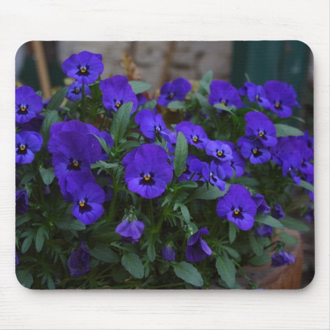 Viola wittrockiana mouse mat (Front)