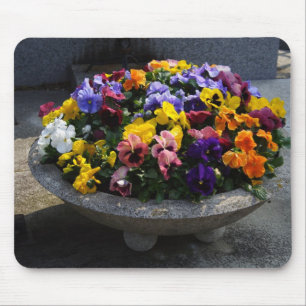 Viola wittrockiana mouse mat