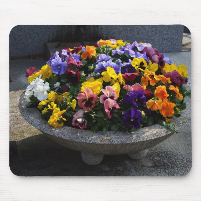 Viola wittrockiana mouse mat (Front)