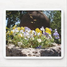 Violas In A Stone Trough.