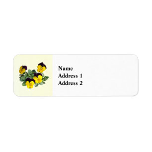 Violas Sorbet Yellow Jump Up