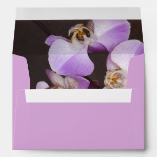 Violet and White Orchid Close Up Photograph Envelope