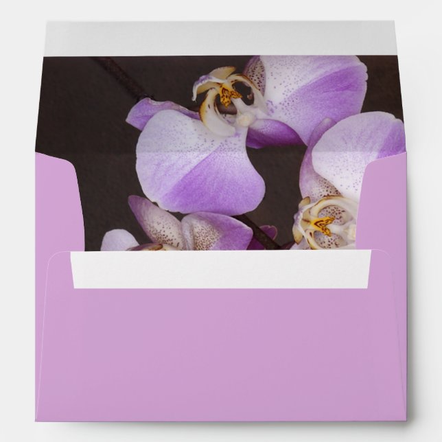 Violet and White Orchid Close Up Photograph Envelope (Back (Bottom))