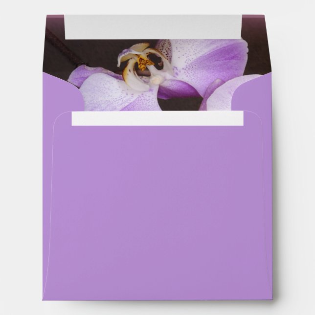 Violet and White Orchid Close Up Photograph Envelopes (Back (Bottom))