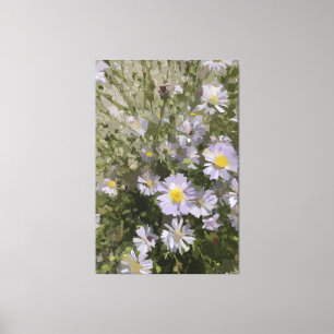Violet Asters Canvas Print