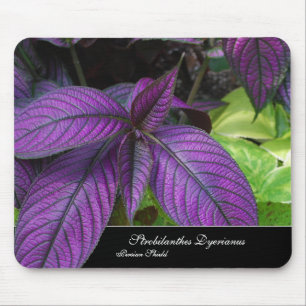 Violet Beauty Mousepad