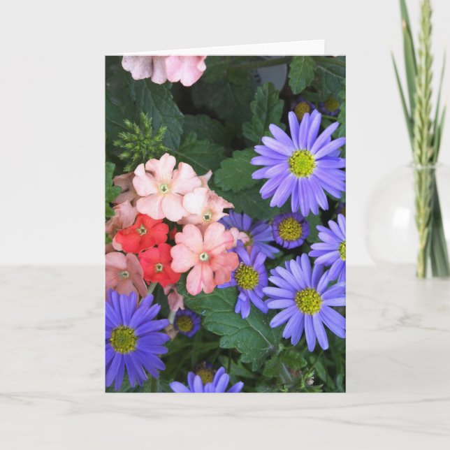 Violet, blue, Pink and Coral Blooms Greeting Card (Front)