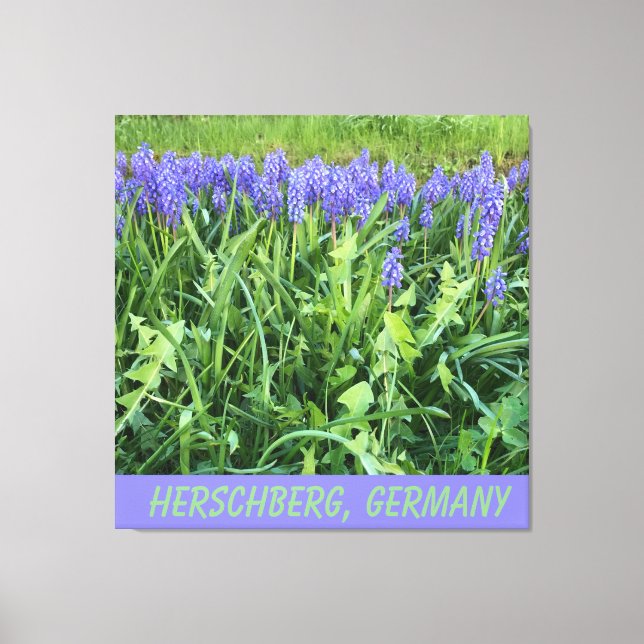 Violet Bluebell Canvas Print (Front)