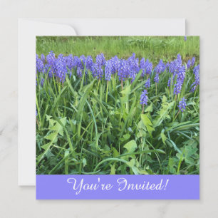 Violet Bluebells Photography Note Card