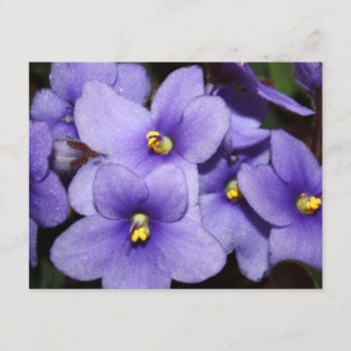 Violet Boquet Invitation