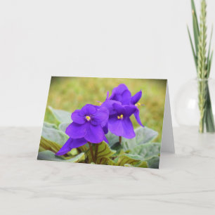 Violet, card