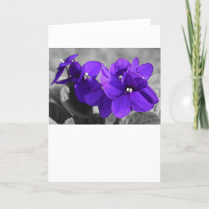 Violet, card