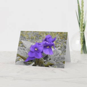 Violet, card