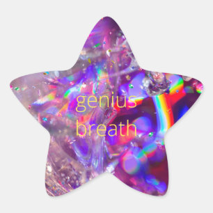 Violet Crystals Purple Pink Rainbow Holograph Star Sticker