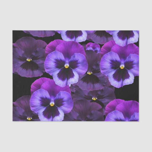 VIOLET DREAMS TISSUE PAPER (Front)