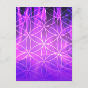 Violet Flame Flower of Life Postcard