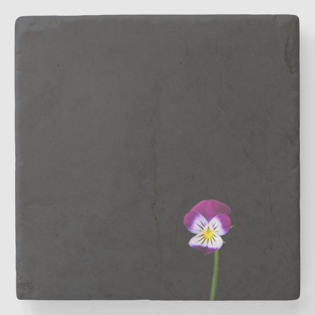 Violet Flower coastera Stone Coaster (Front)