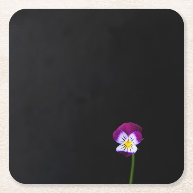 Violet Flower coastercna Square Paper Coaster (Front)