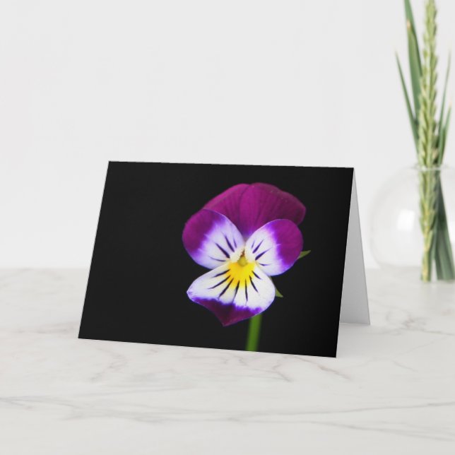 Violet Flower gcm Card (Front)
