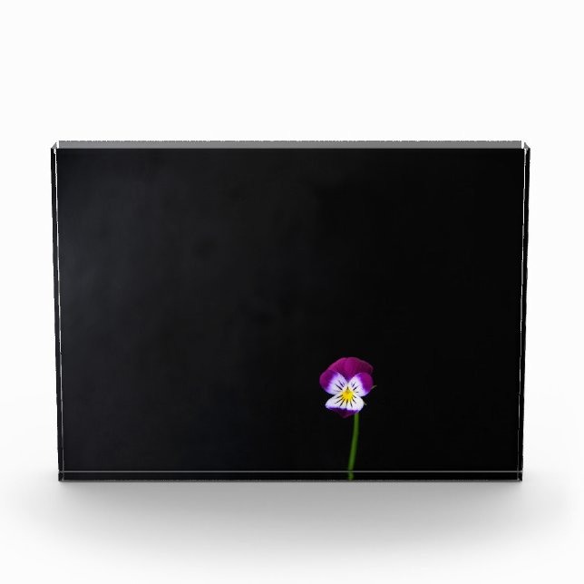 Violet Flower pbcna Photo Block (Front)