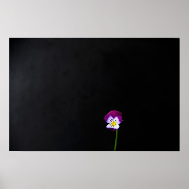 Violet Flower wapcn Poster (Front)