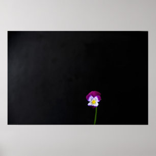 Violet Flower wapm Poster