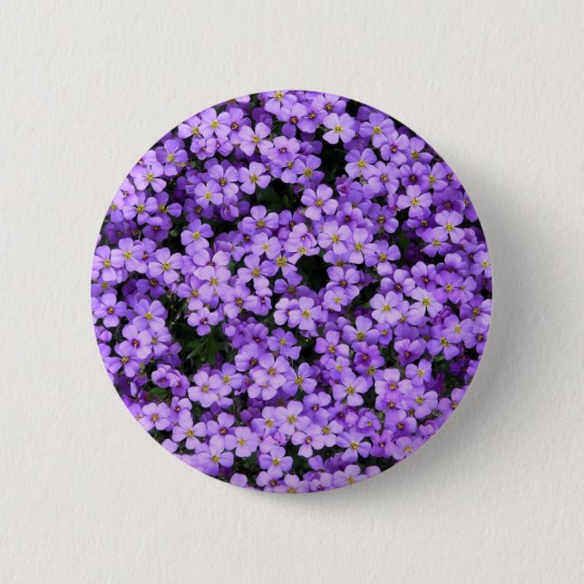 Violet Flowers Button Violets (Front)