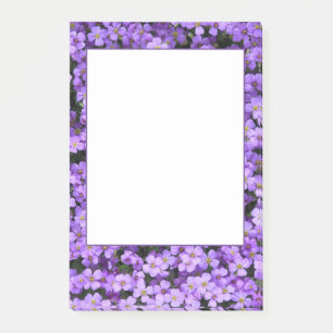 Violet Flowers Framed Post it Notes Violets Flower