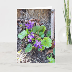 Violet Flowers in Forest Card