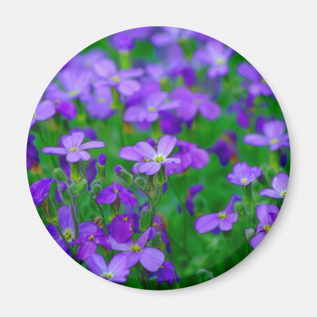 Violet Flowers Magnet (Front)