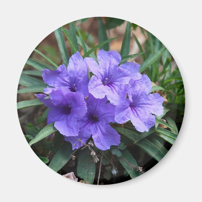 Violet flowers magnet (Front)