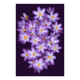 Violet Flowers Photo Print