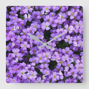 Violet Flowers - Spring Square Wall Clock