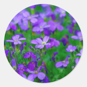 Violet Flowers Sticker