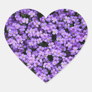 Violet Flowers Sticker Violets Spring